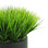 Grass Arrangement In A Round Fiberstone Planter