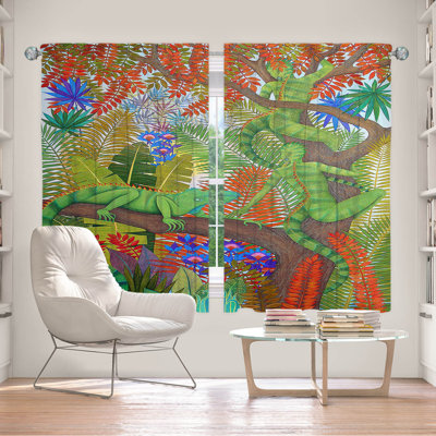 Room Darkening Curtain Pair