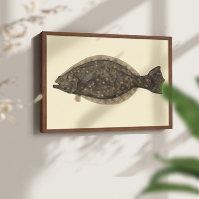 Saltwater Species IV -Framed Print - Restickable