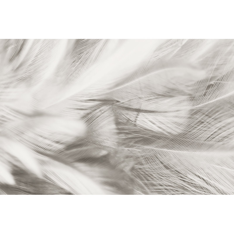 Feather Texture Background - Wrapped Canvas Print, 30cm H x 46cm W x 3.8cm D