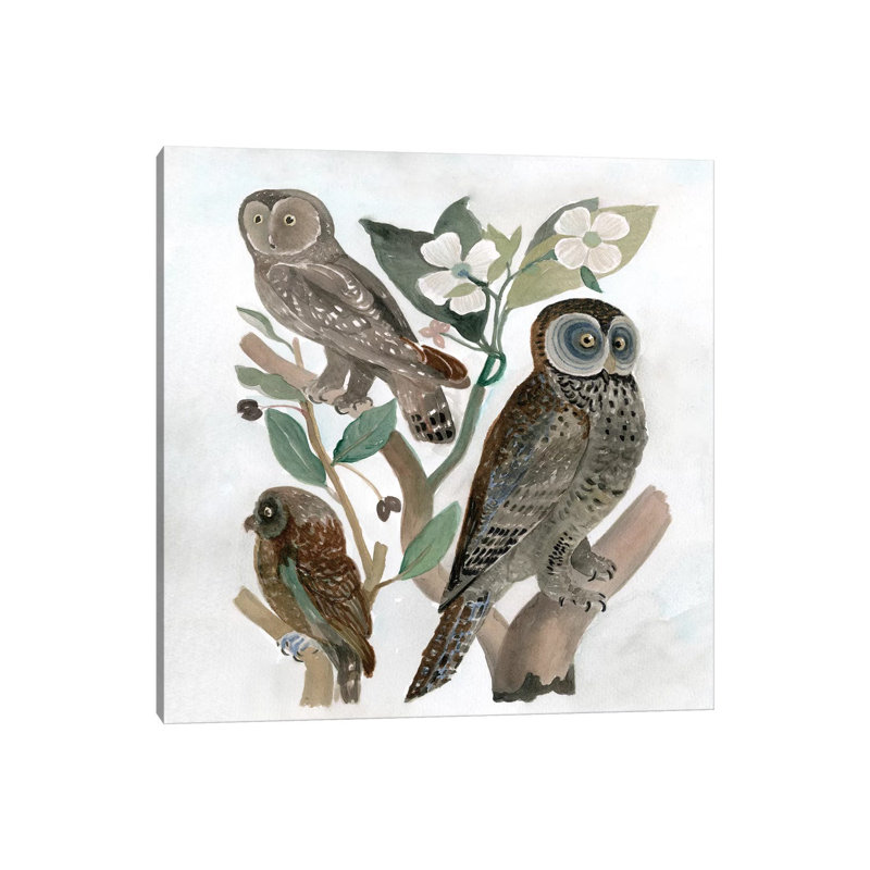 Traditional Owls II by Stellar Design Studio - Wrapped Canvas Gallery-Wrapped Canvas Giclée, 93.98 cm H x 93.98 cm W