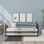 Daybed with Trundle