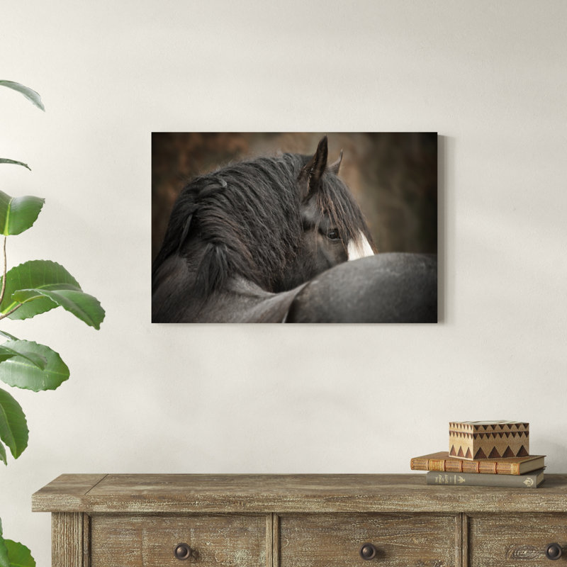 " Looking Back " by PHBurchett, 20" H x 30" W x 1" D