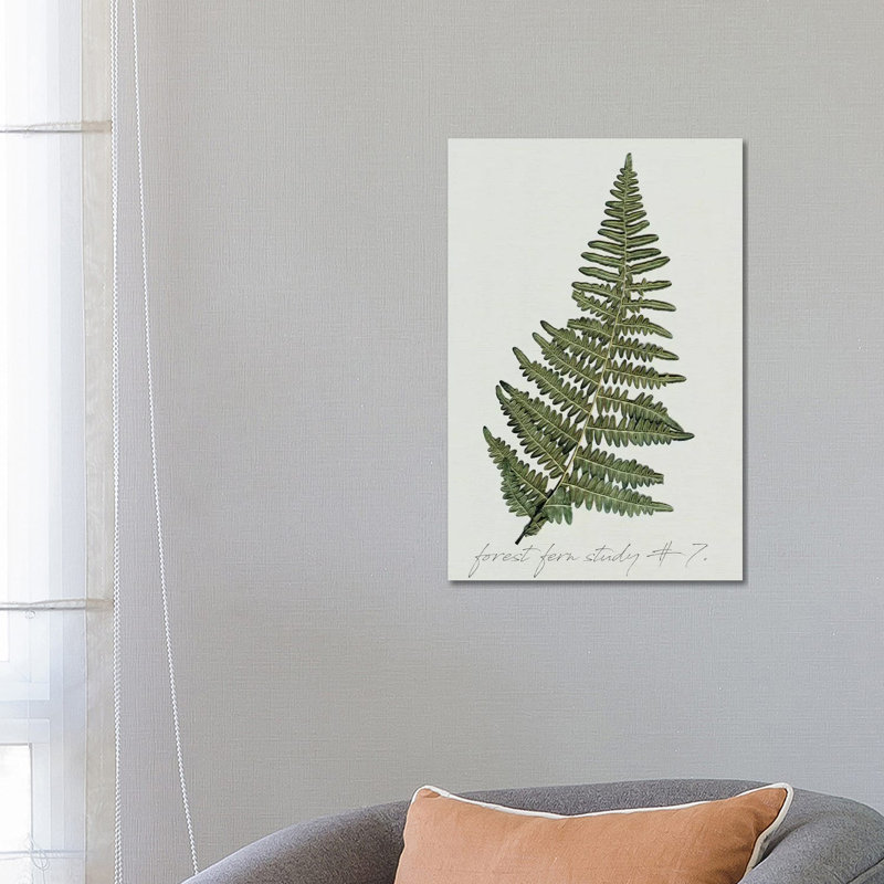 Fern Fernandes II par Carol Robinson, impression sur toile tendue, H 18 po x l 12 po x P 1,5 po