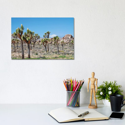 Joshua Tree Forest 1 Piece Wrapped Canvas Wall Art