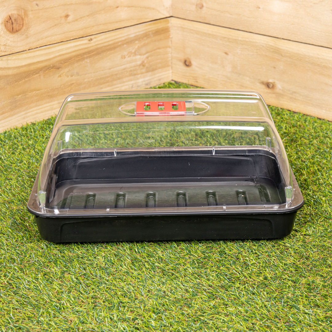 Samuel Alexander 38cm Grostart Midi Seed Starter Tray - Black Unheated Propagator for Indoor Seedlings - Image 10