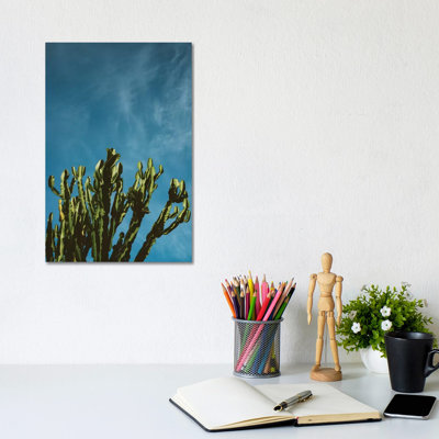 Cactus Sky by Bethany Young - Print on Canvas