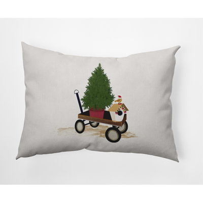  Outdoor Rectangular Pillow Cover & Insert