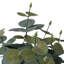Fausse plante en pot 10 po