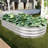 2Pcs 1ft Galvanized Raised Garden Bed Kit for Outdoor Gardening-1373753156