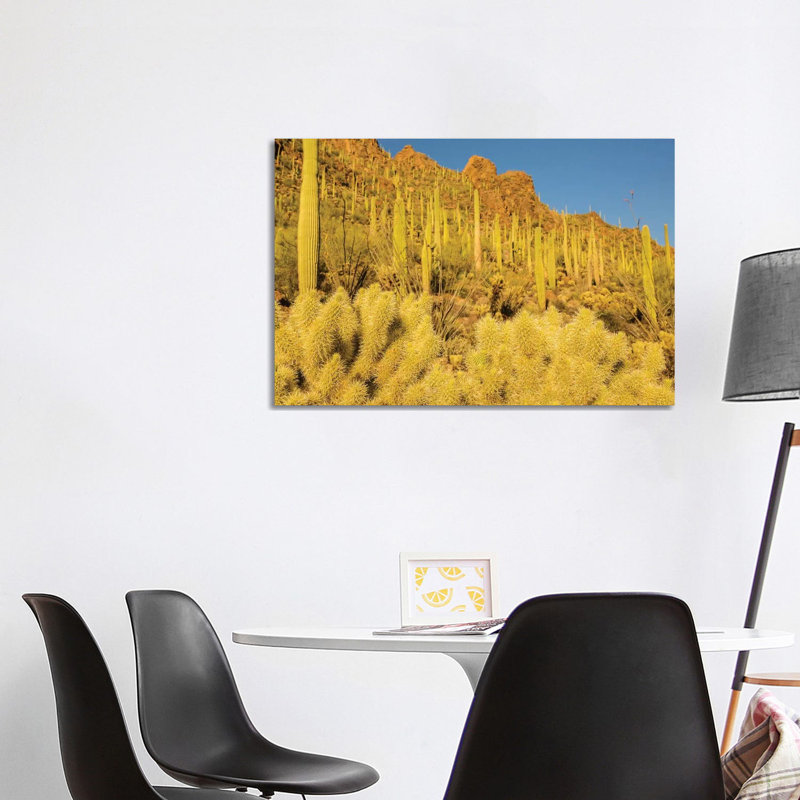 USA, Arizona, Tucson Mountain Park. Sonoran Desert landscape. 1 Piece Wrapped Canvas Wall Art, 66.04cm H x 101.6cm W