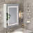 Glendine 19.7'' W 27.6'' H Frameless Medicine Cabinet with LED Mirror and 2 Fixed Shelves-1420490058
