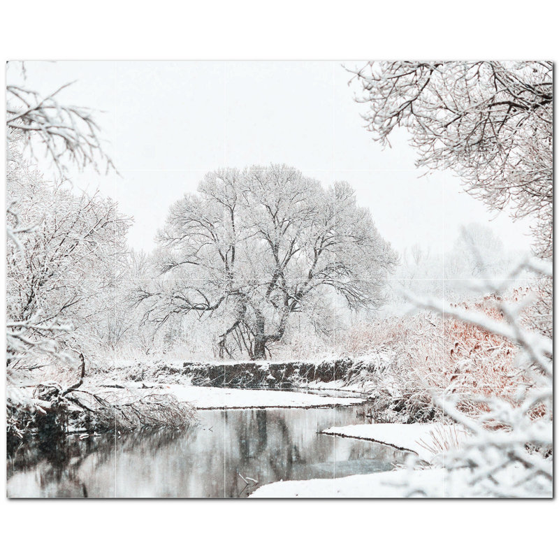Photo d'hiver 4,25 x 4,25