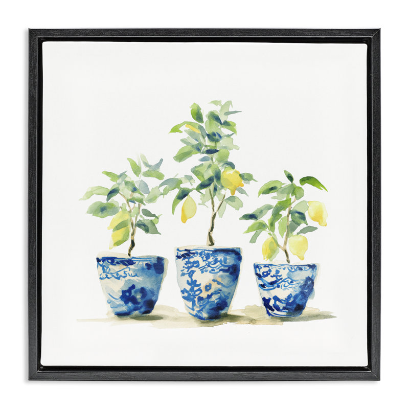 Cadre flottant citrons dans des pots bleus, design par Svetlana Aleynikova, H 18 po x l 18 po, Cadre flottant noir de jais