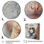 Singe sauvage I - animaux, art mural, salon-416195575-416195580