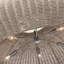Kokomo Pendant by Chapman & Myers-1054981308-1054981305-1054981310