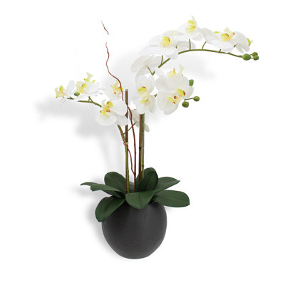 FLORAL 25IN DOUBLE STEM ORCHID, WHITE