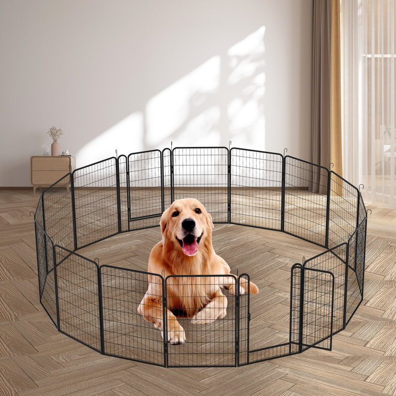 Panel Iron Exercise Pen With Door, 39.37" H x 142.28" W