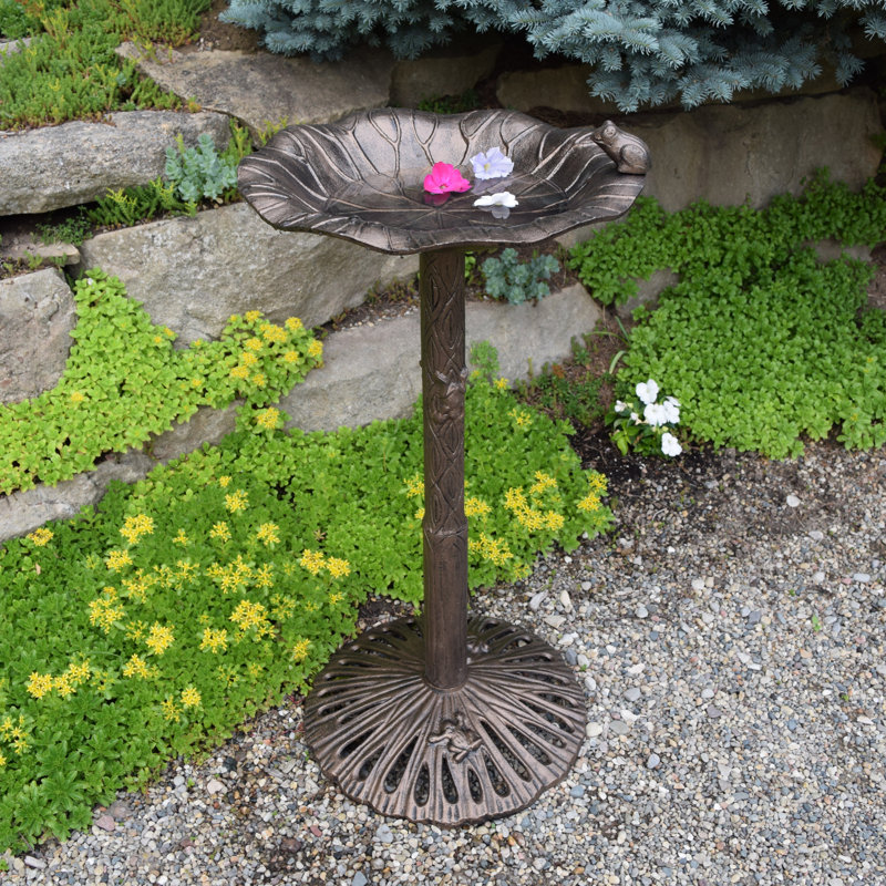 Bain d'oiseaux Ditmas Frog, Bronze Antique