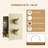 Thermostatic Rainfall Complete Shower System with 3 Body Jets and Handheld Spray-110585249