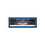 2019 College Football National Champions - LSU Tigers, impression panoramique-804975185-804975188