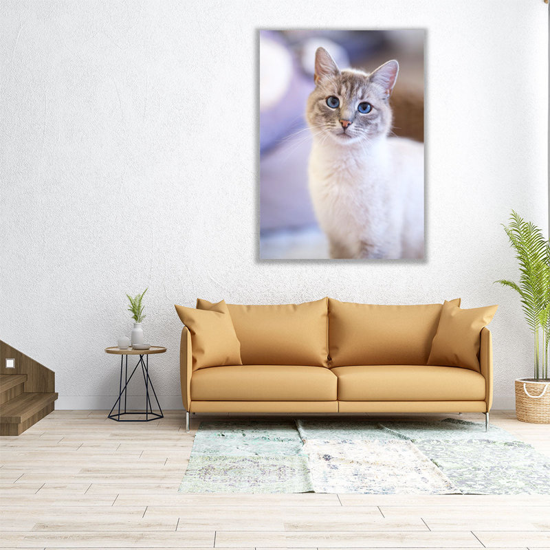 «Cute Cat», reproduction d'art sur toile, H 24 po x l 18 po