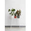 B.For Pot Planter-70004572-70004577
