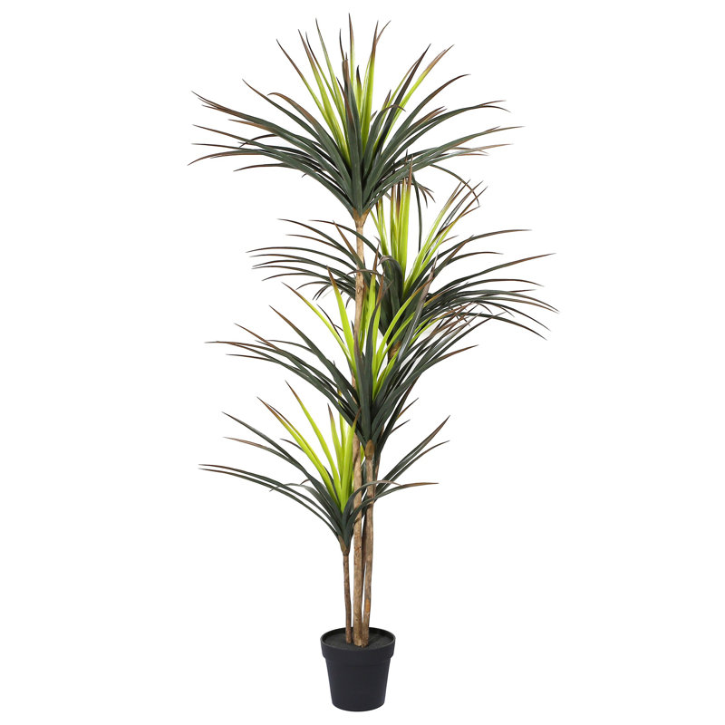 Arbre Dracaena Marginata artificiel en pot 67 po