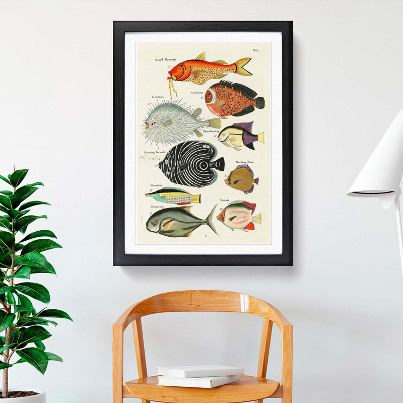 East Indies Fish Illustrations Fol. 5 hh by Louis Renard - Picture Frame Graphic Art Print, 36cm H x 27cm W x 2cm D