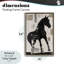 Cadre flottant à silhouette de cheval Equinity, design par Annabelle Hall-2134818186-2134818184