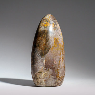 Véritable forme libre de jaspe de fantaisie de Madagascar (1,2 lb)