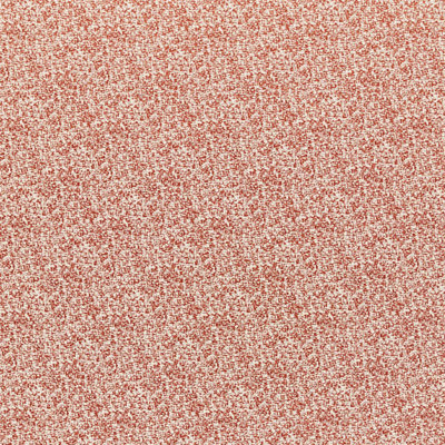 Teesha Fabric