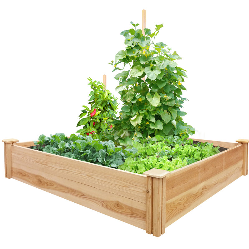 Natural Cedar 48" x 48" Freestanding Raised Garden Bed