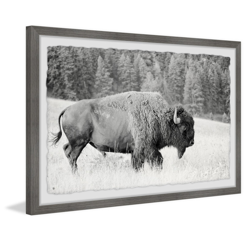 1 Piece Single Picture Frame Wall Art, 20cm H x 30cm W