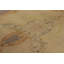 One-of-a-Kind 10'11x20'5 Area Rug