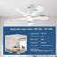 Ventilateur de plafond de 42 pouces avec lumière et télécommande, ventilateur de plafond à profil bas, DEL silencieuse à intensité variable, moteur à courant continu réversible, contrôle de l'application, minuterie, pour une utilisation à l'int?-517431698-517431696