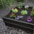 Raised Garden Bed