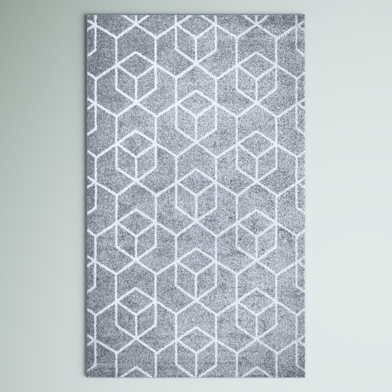 Tapis gris clair / blanc Mashawna, Rectangle 4pi x 6 pi