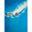 Diving Jump - Toile encadrée marine pour décoration intérieure