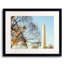 Sunset Bloom Print by Scott Wurzel-65796291-132439381