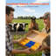 2 Way Livestock Scratching Brush, Dual Sided Goat Scratcher Brush with Mounting Bracket, 16.9" x 3.9" Cow Scratcher for Back Itch Relief, Massage Grooming Scratch Tool for Horse Cattle Sheep Pig