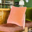 DIVAN Velvet Pillow Cover & Insert-721630433-721630447