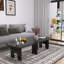Ensemble de tables basses gigognes Modern Modern