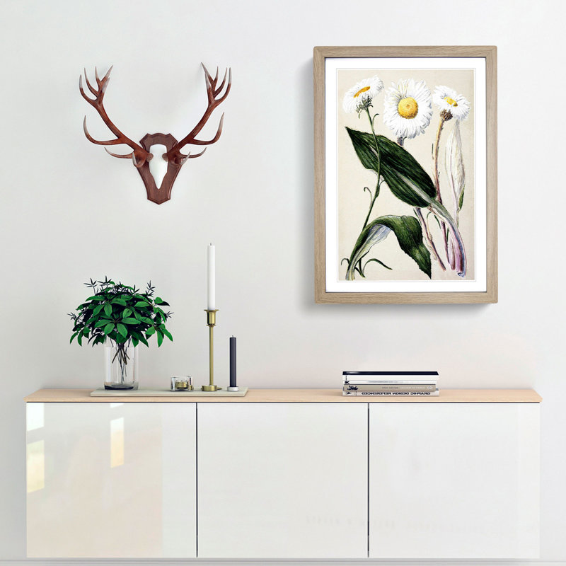 Mountain Daisies by Sarah Featon - Picture Frame Painting Print, 36cm H x 27cm W x 2cm D, Oak Framed
