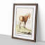 Horse by A.B. de Boodt - Picture Frame Painting Print-55579907-55579908