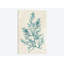 «Teal Seaweed I», impression sur toile-29283762-74747700-74747706