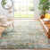 Jyn Performance Abstract Rug