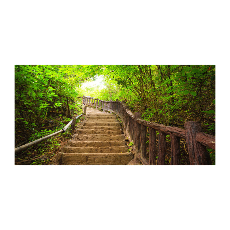 Stairs In The Forest - No Frame Print on Canvas