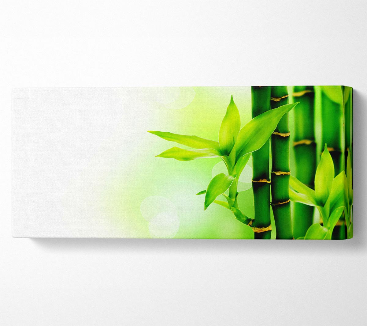 Sansibar Home Wrapped Canvas Art Prints | Wayfair.co.uk