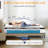 Plush Hybrid Mattress with Cool Memory Foam and Individual Pocketed Spring, CertiPUR-US and OEKO-TEX 100 Certification-759173046-762585346
